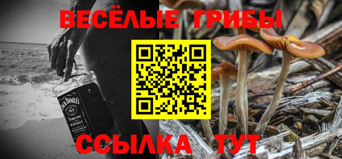 Галлюциногенные грибы Psilocybine cubensis Рассказово