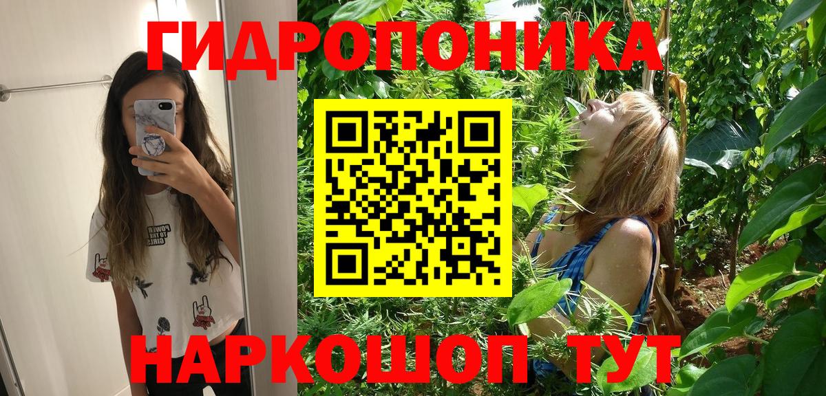 Шишки марихуана гибрид  Вход с VPN  Рассказово  Марихуана марихуана 