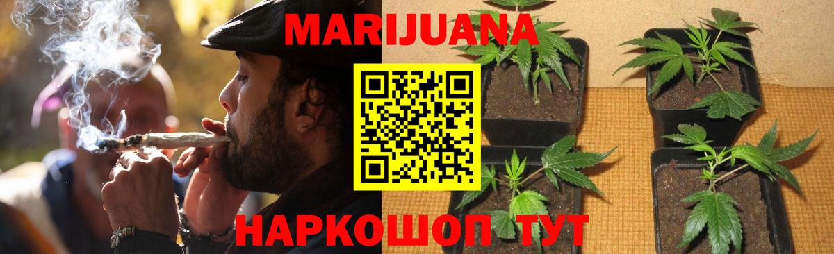 Бошки марихуана OG Kush Рассказово